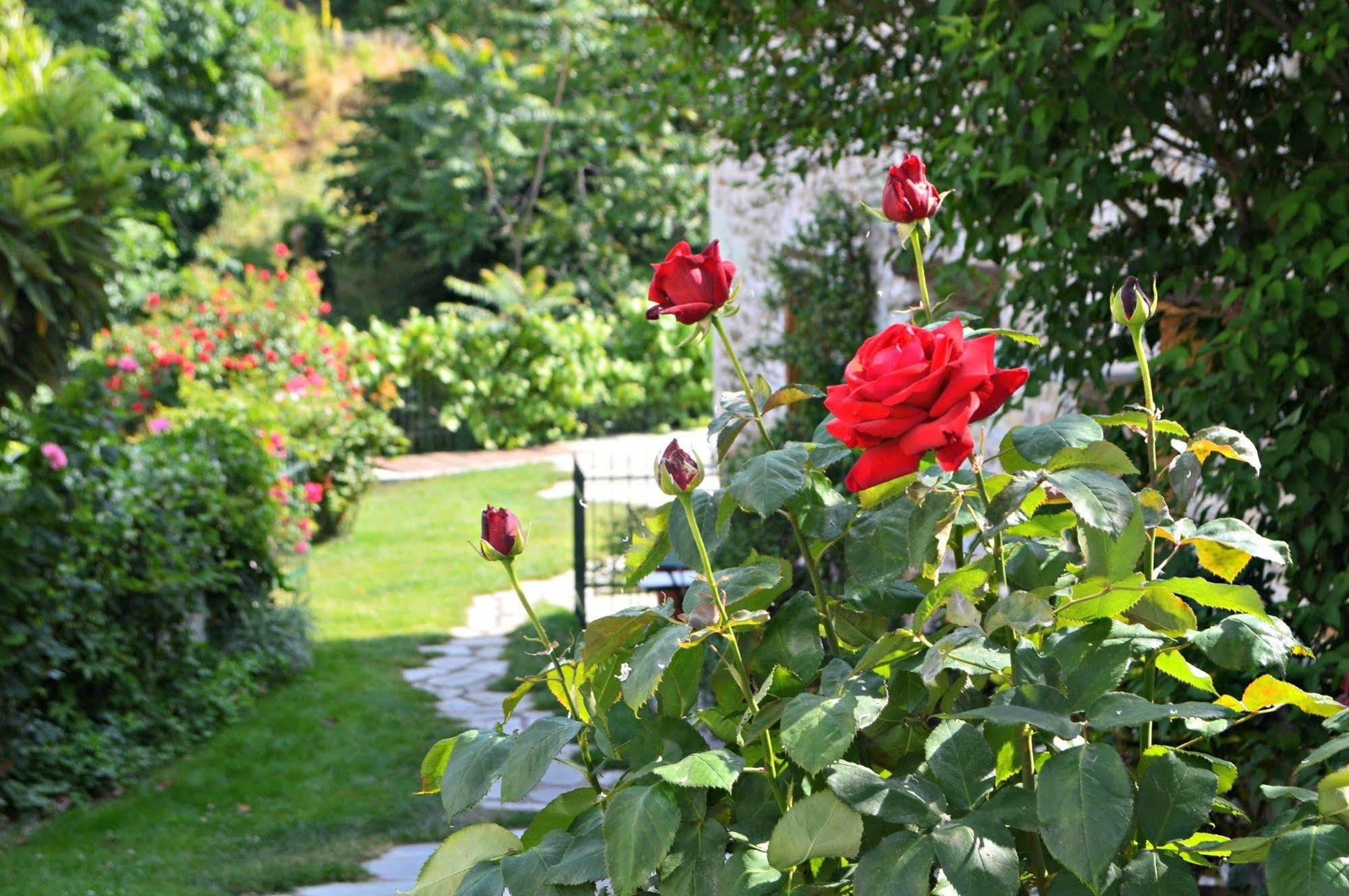 Triantafillies Guesthouse Портария Экстерьер фото