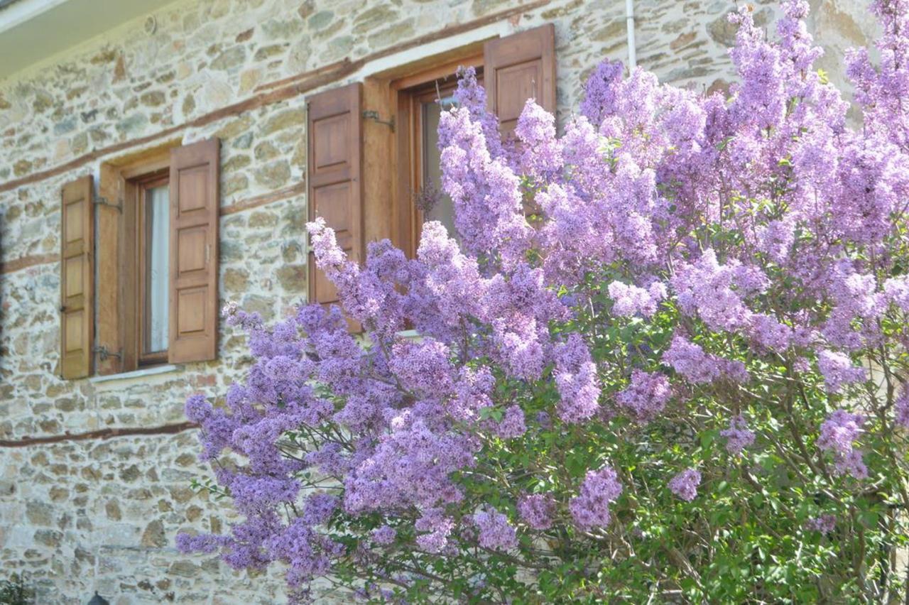 Triantafillies Guesthouse Портария Экстерьер фото